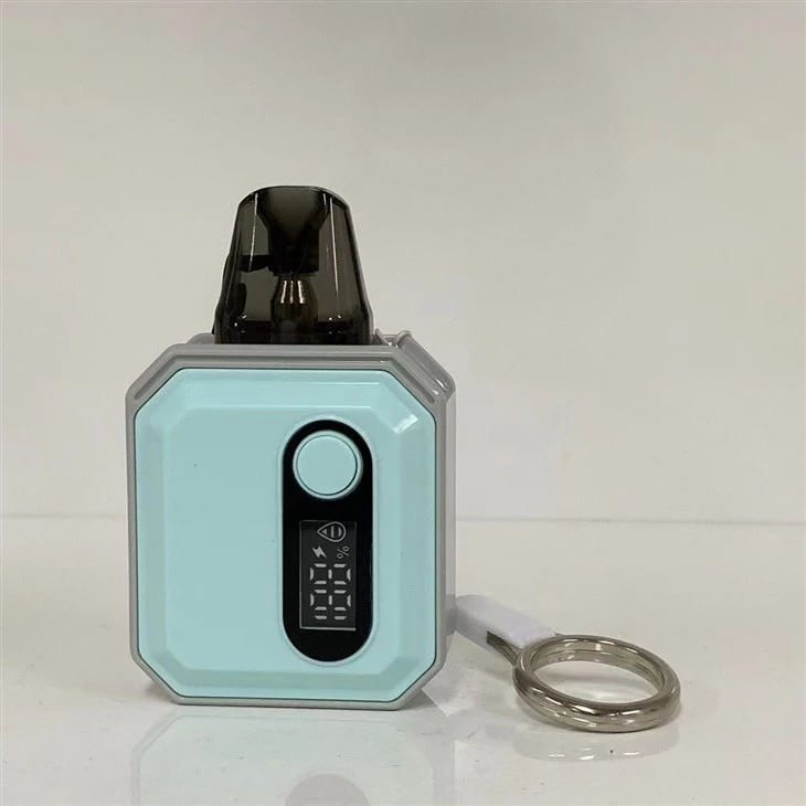 OEM/ODM 2024 Popular 600 Puffs Wholesale Vape Pod