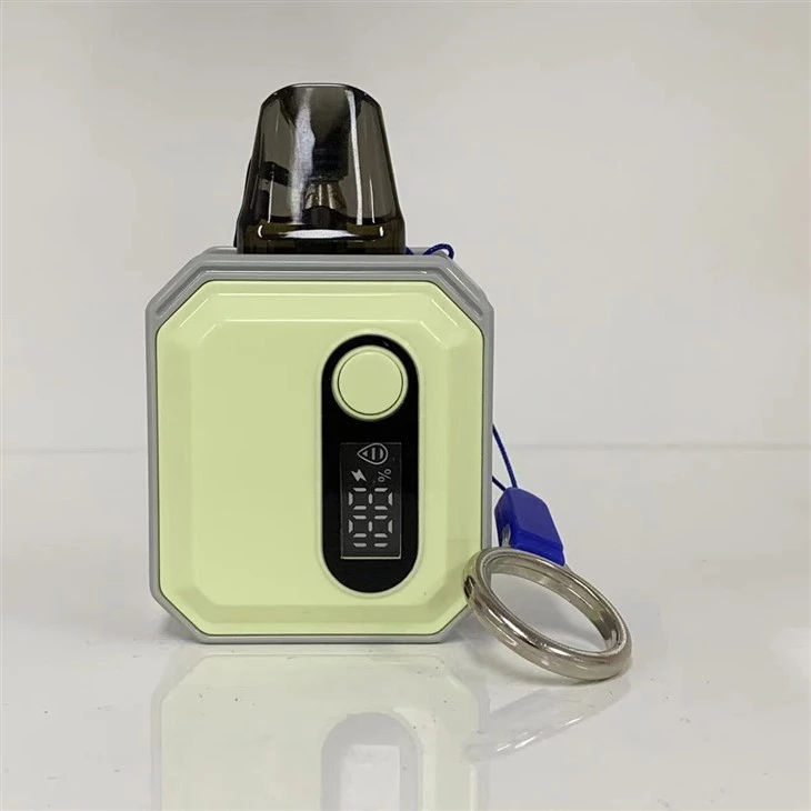 OEM/ODM 2024 Popular 600 Puffs Wholesale Vape Pod